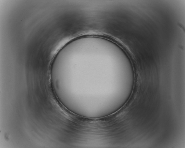 X0000103951367200809191201