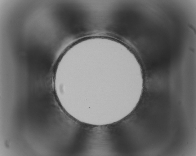 X0000103951368200809191201