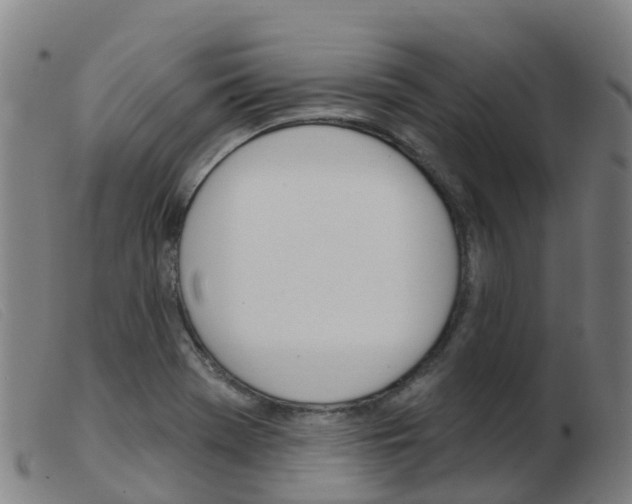 X0000103951369200809191201