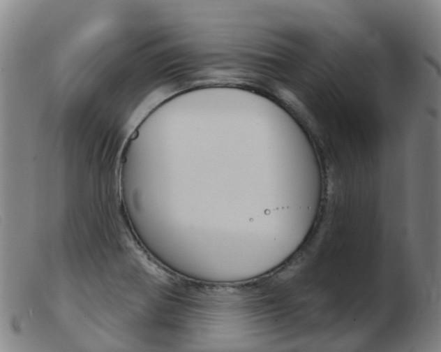 X0000103951370200809191201