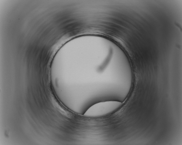 X0000103951371200809191201
