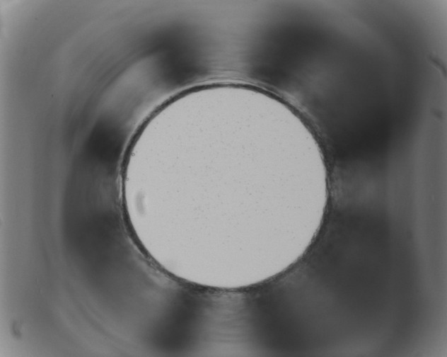 X0000103951372200809191201