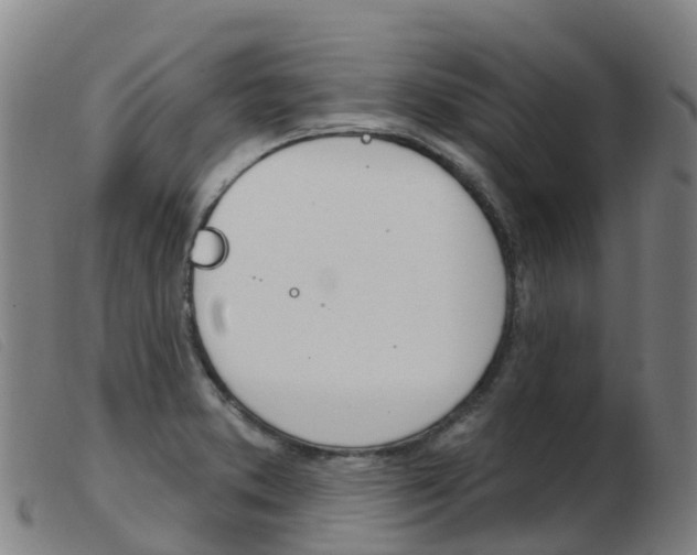 X0000103951373200809191201
