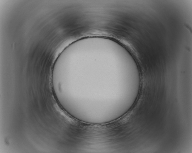 X0000103951374200809191201