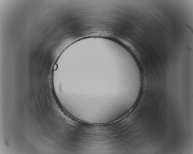 X0000103951375200809191201