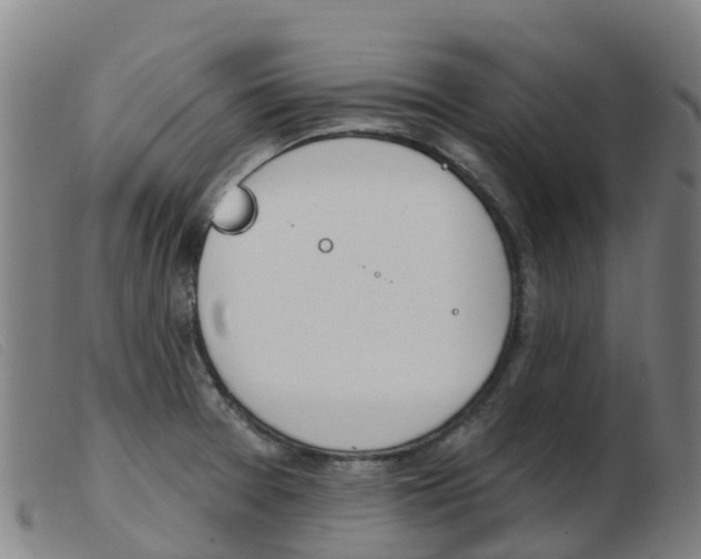 X0000103951377200809191201