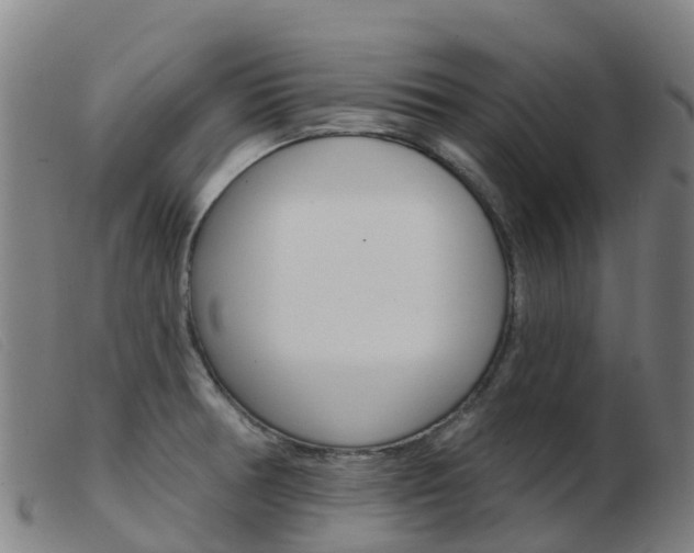 X0000103951378200809191201