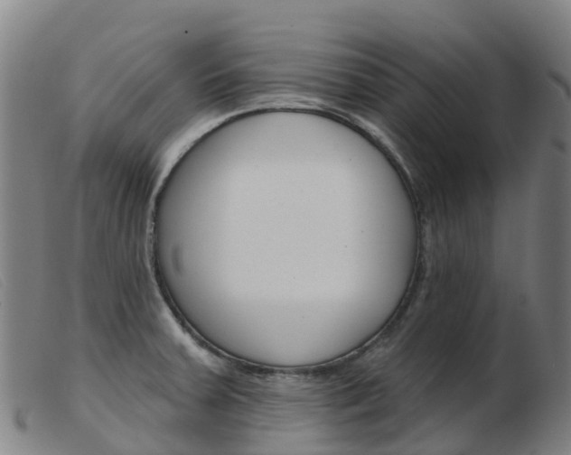 X0000103951379200809191201
