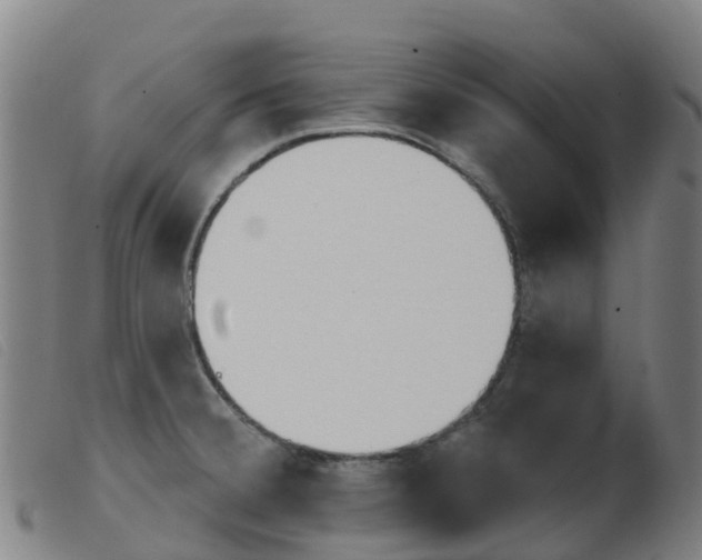 X0000103951380200809191201