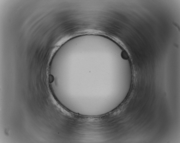 X0000103951381200809191201