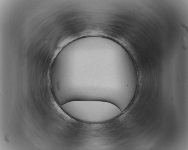 X0000103951382200809191201