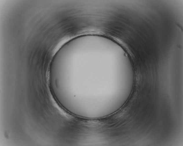 X0000103951383200809191201