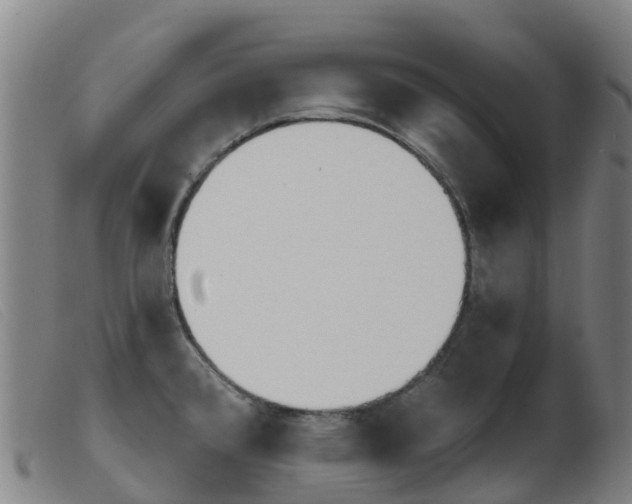 X0000103951384200809191201