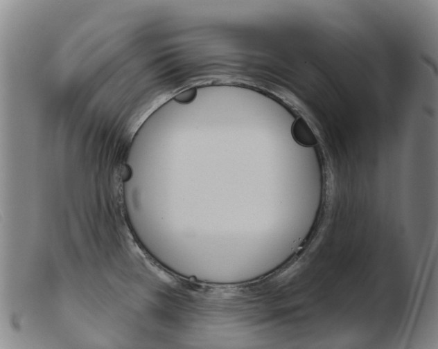 X0000103951385200809191201