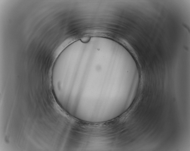 X0000103951386200809191201