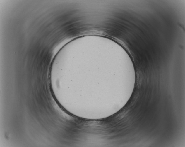 X0000103951387200809191201