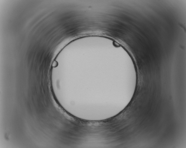 X0000103951389200809191201