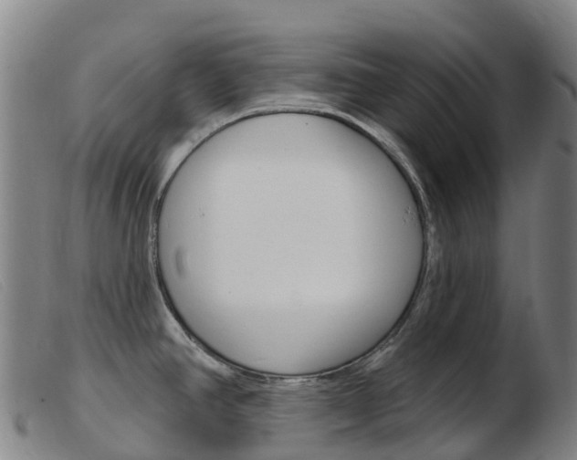 X0000103951390200809191201