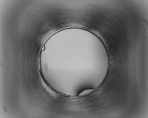 X0000103951391200809191201