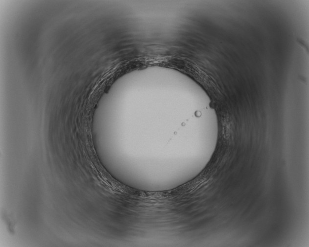 X0000103951393200809191200