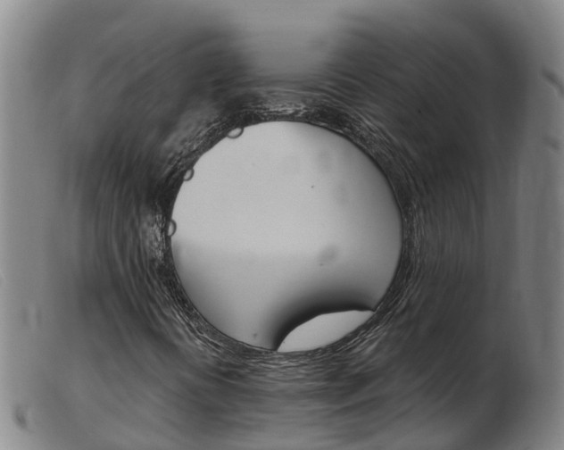 X0000103951394200809191200