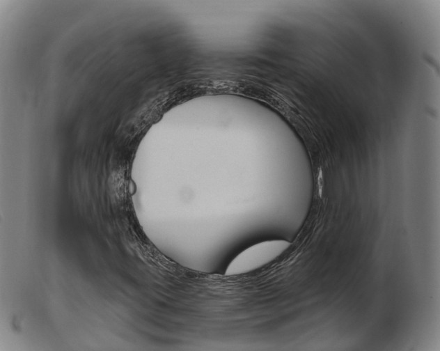 X0000103951395200809191200