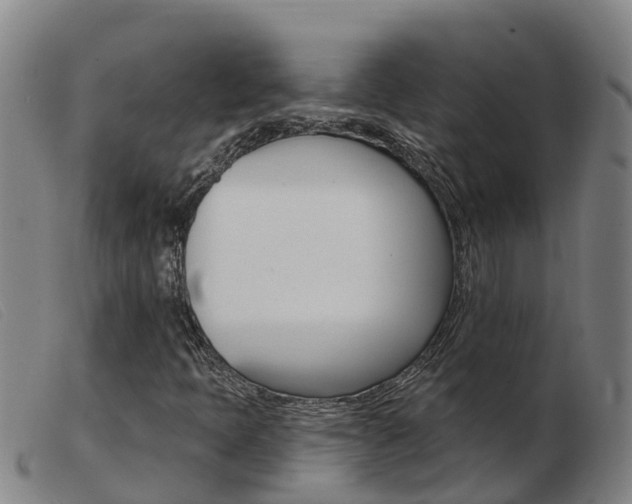 X0000103951397200809191200