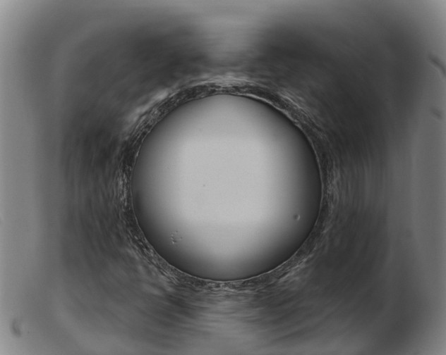 X0000103951398200809191200