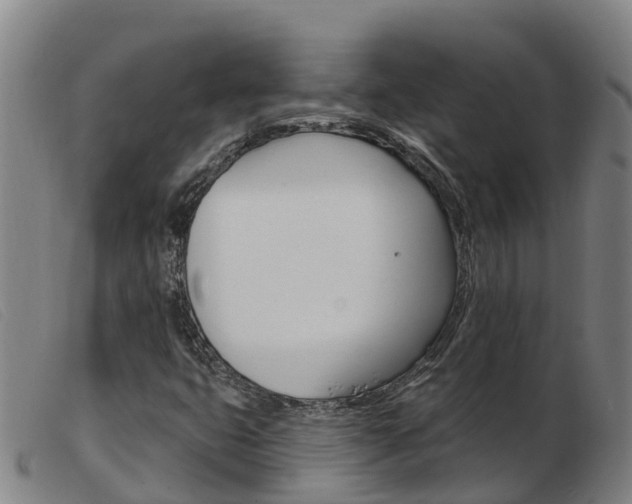 X0000103951399200809191200