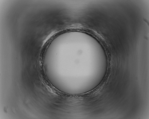 X0000103951400200809191200