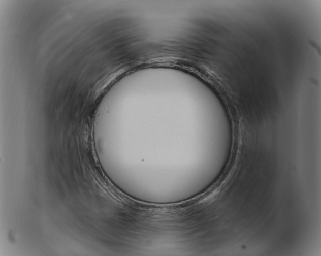 X0000103951401200809191200