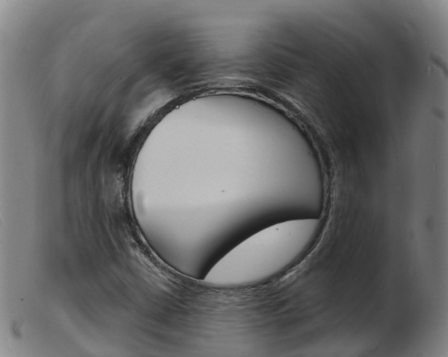 X0000103951402200809191200