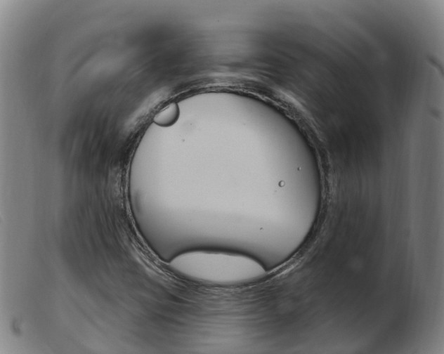 X0000103951403200809191200