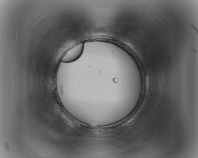 X0000103951405200809191200