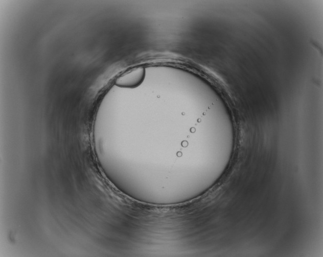 X0000103951407200809191200