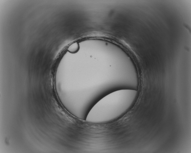 X0000103951408200809191200