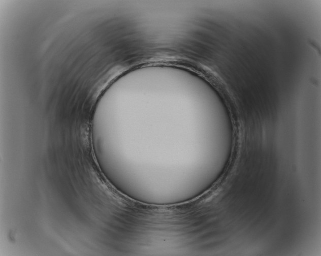 X0000103951409200809191200