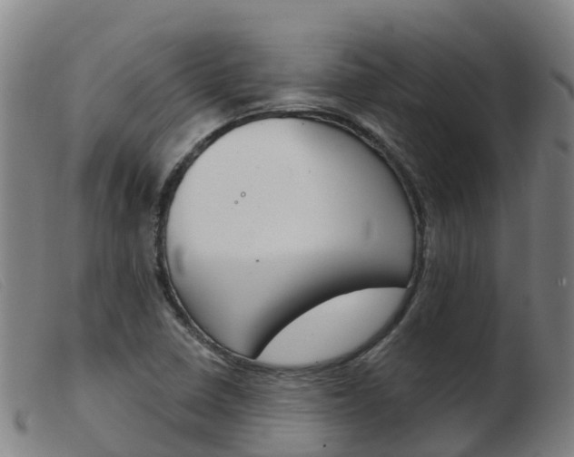 X0000103951410200809191200
