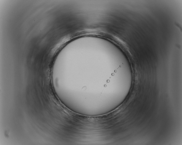 X0000103951411200809191200