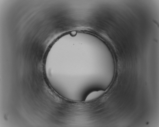 X0000103951412200809191200