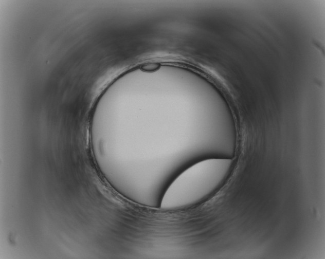 X0000103951413200809191200