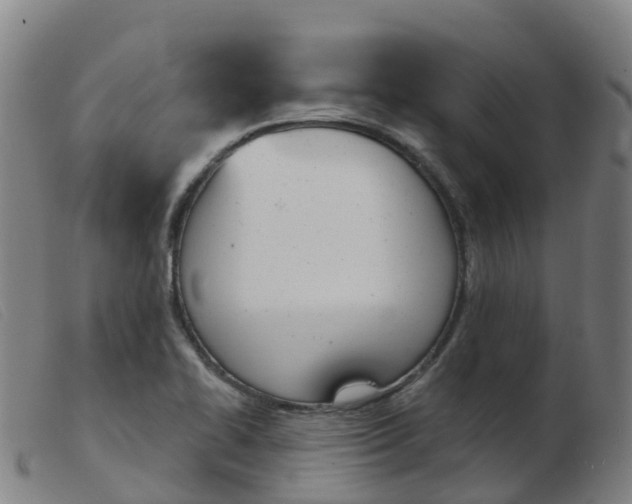 X0000103951414200809191200