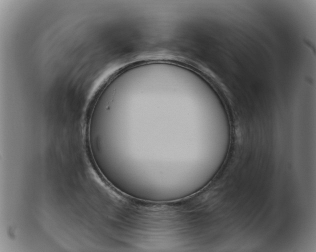 X0000103951416200809191200