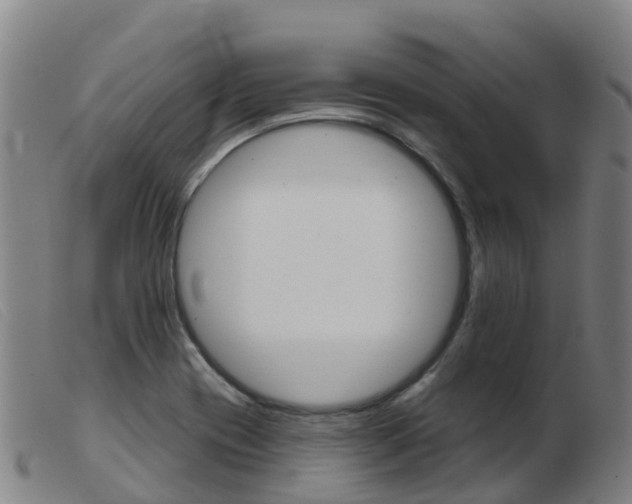 X0000103951417200809191200
