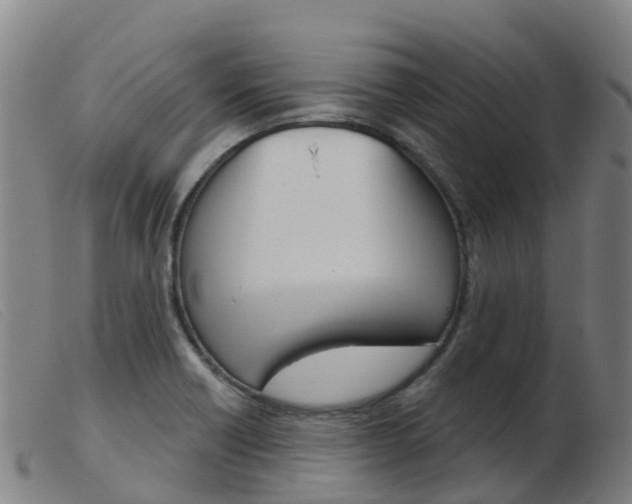 X0000103951418200809191200