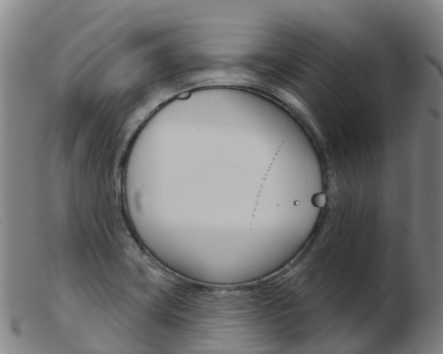 X0000103951419200809191200