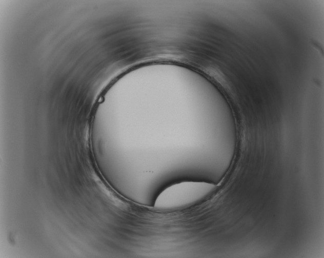 X0000103951420200809191200