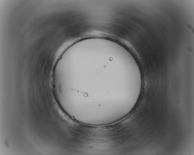 X0000103951421200809191200