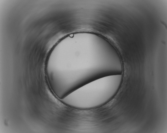 X0000103951422200809191200