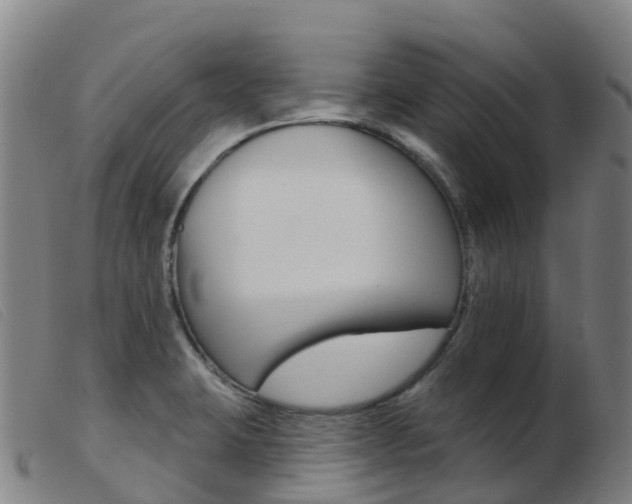 X0000103951423200809191200